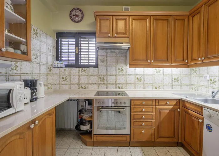 Pet Friendly In Krk Krk Town