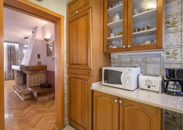 Pet Friendly In Krk Krk Town
