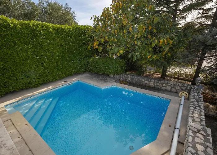 Pet Friendly In Krk * Krk Town