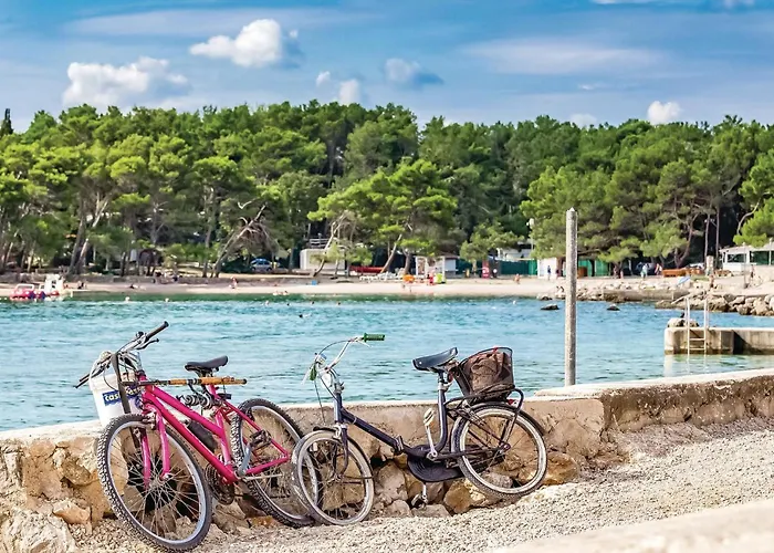 Pet Friendly In Krk * Krk Town