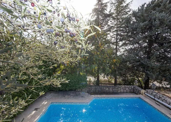 Pet Friendly In Krk
