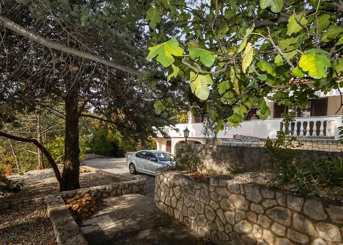Pet Friendly In Krk Krk Town