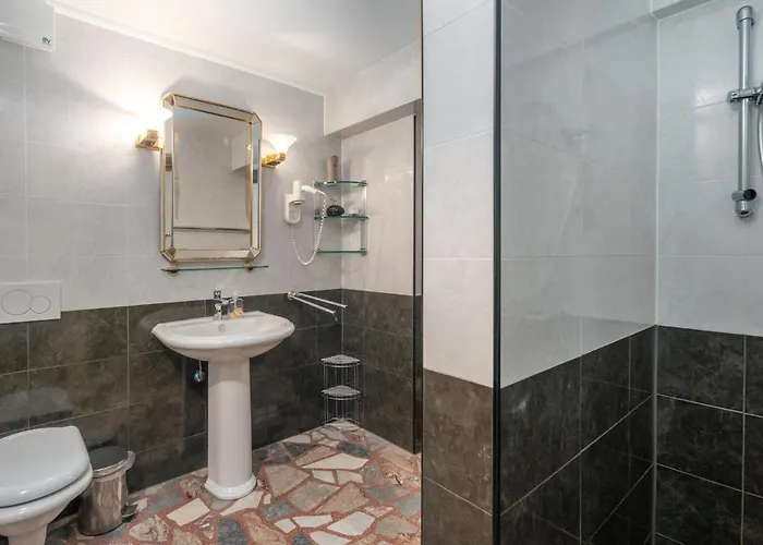 Pet Friendly In Krk Krk Town